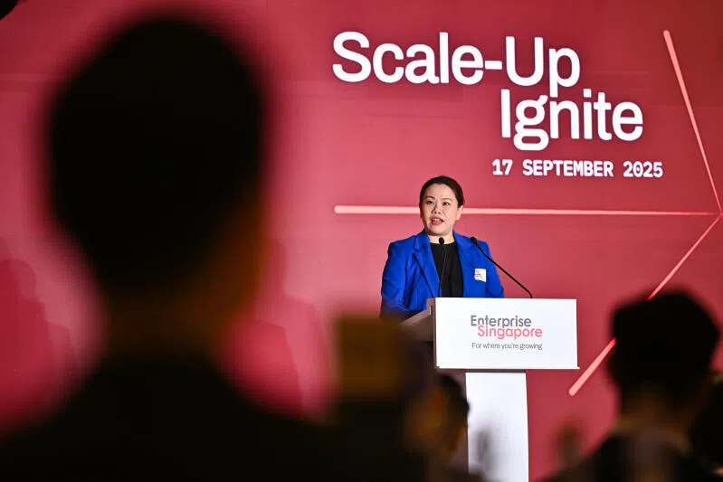 EnterpriseSG’s managing director Cindy Khoo says: “When we first launched Scale-Up in 2019 as a pilot, we had a bold vision: to nurture the next generation of global Singapore champions.” 