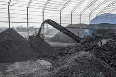 Almost 200 nations signed an agreement that avoided an explicit mention of transitioning away from fossil fuels, as developing countries argued for economic growth using all energy sources.