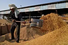 In India alone, rice stocks, including unmilled rice paddy, in government warehouses totalled 63.09 million tonnes on Apr 1, nearly five times a government target of 13.6 million tonnes.