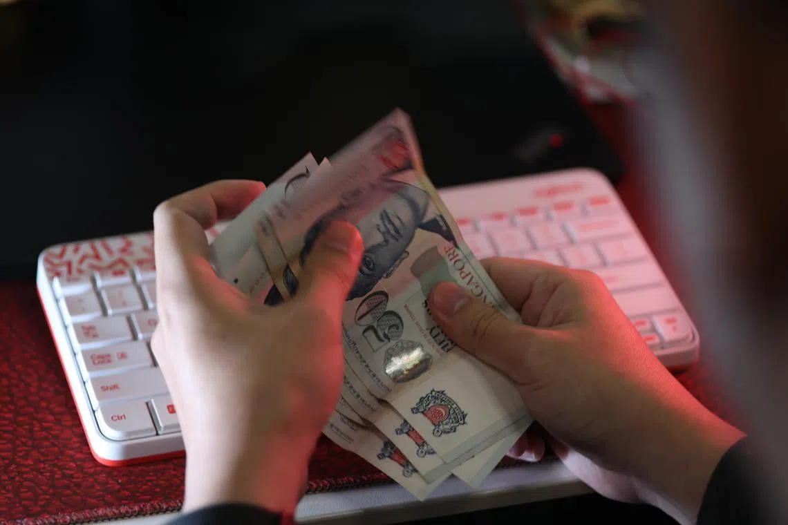 MHA said the proposed law is scoped to strike a balance between protecting the public from scams and maintaining a sense of personal responsibility. 