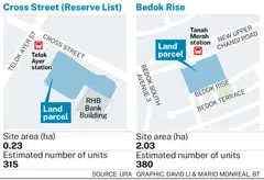 The tender for the Bedok Rise site will close on Nov 27 while the Cross Street site is on the reserve list. 