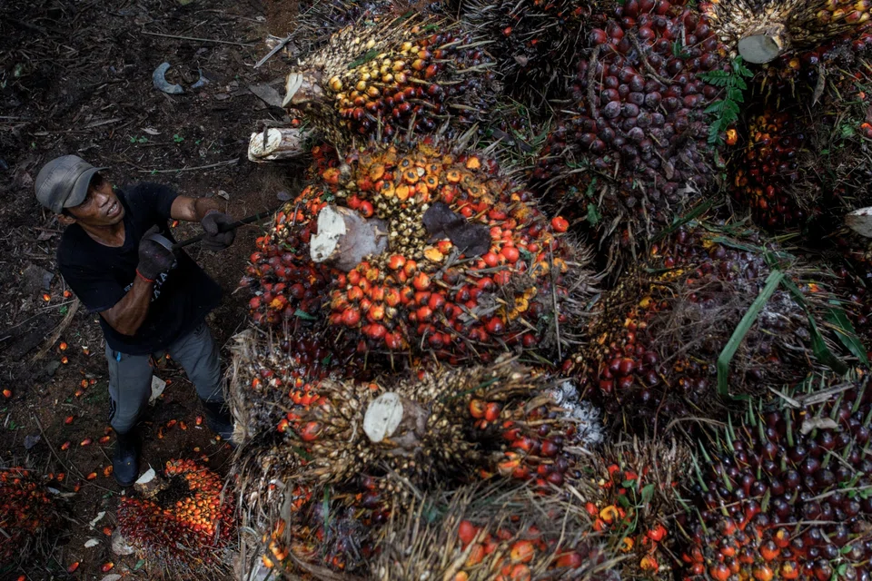 Palm oil reserves have been expanding since March and high stockpiles could pressure prices of the tropical oil. 
