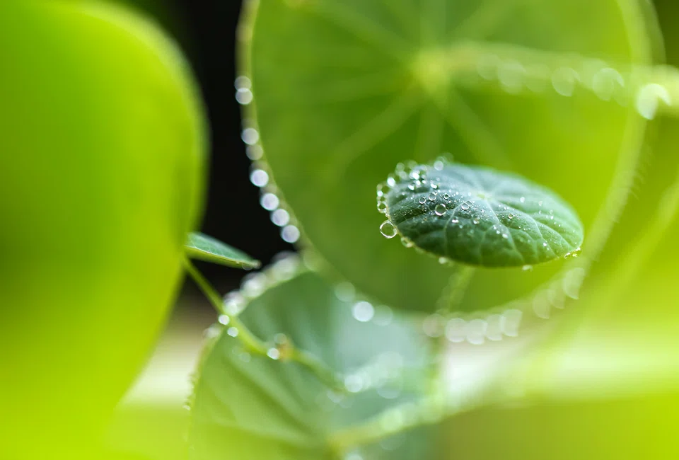 Overly simplistic approaches to ESG investing should be replaced with more sophisticated ones that aim to reconcile views on system changes in the global economy, says the writer.