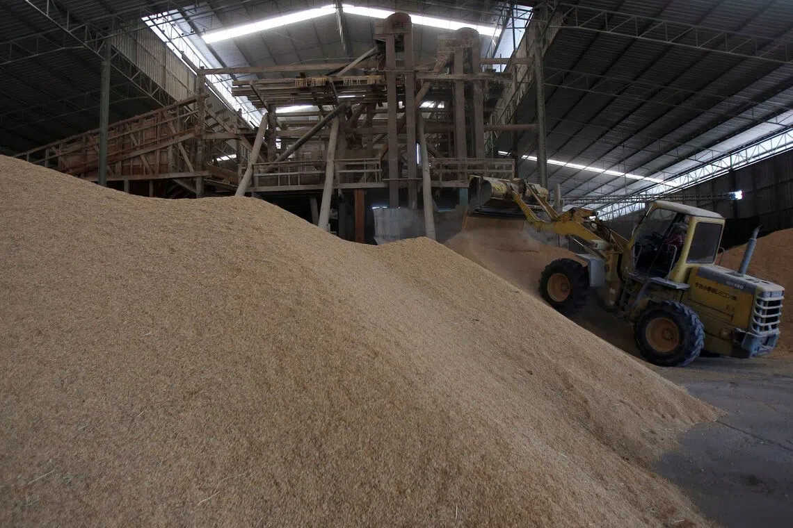 In 2025, rice shipments are projected to reach 7.88 million to 8 million tons but the volume would still be below the nearly 10 million tons recorded last year.