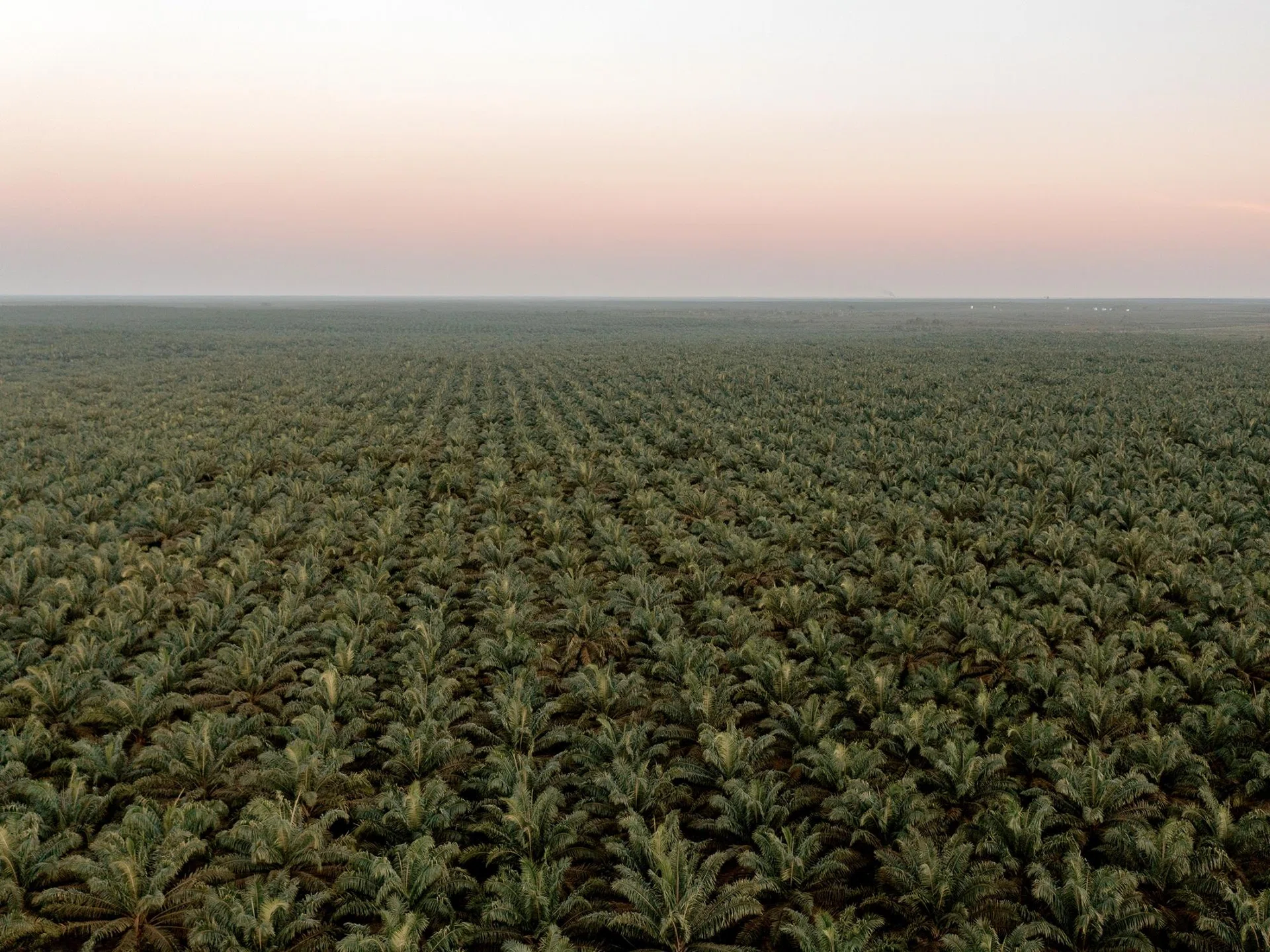 Indonesia tightens grip on resources with Switzerland-sized land grab