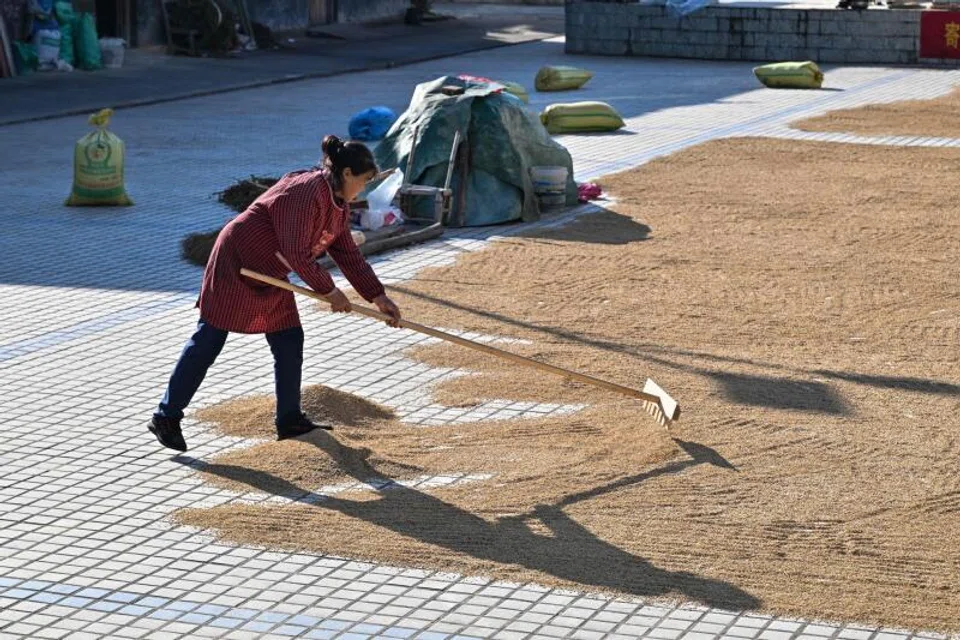 Tensions with the US, a major agricultural trading partner, have accelerated a domestic self-sufficiency drive that includes investments in machinery and seed technology.