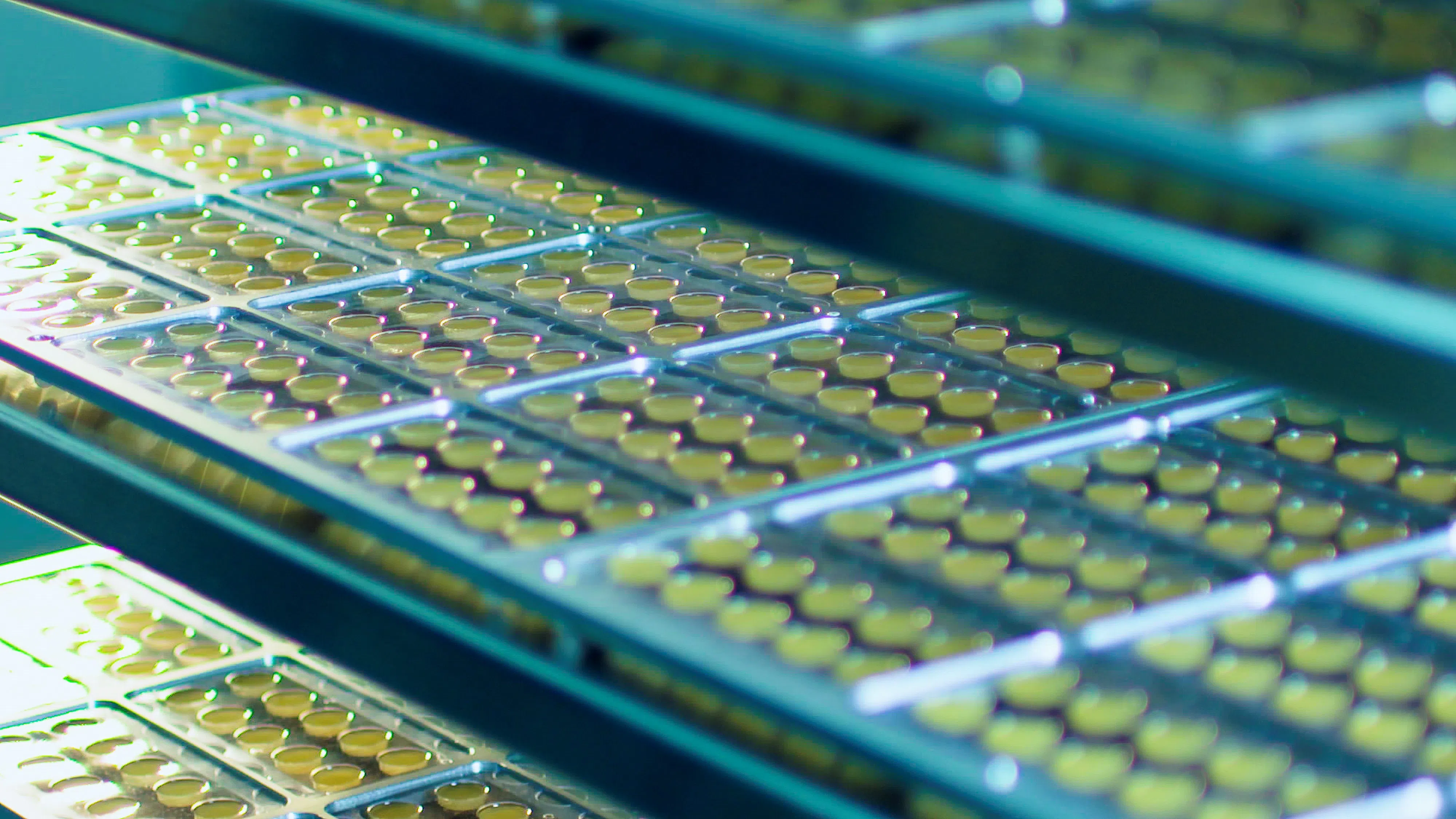 iX Biopharma has proposed a placement of new shares in the company at S$0.10 apiece.