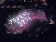 Some have expressed concern that they will be pressured into supporting diversity efforts at work following the repeal of Section 377A, said several Members of Parliament. 