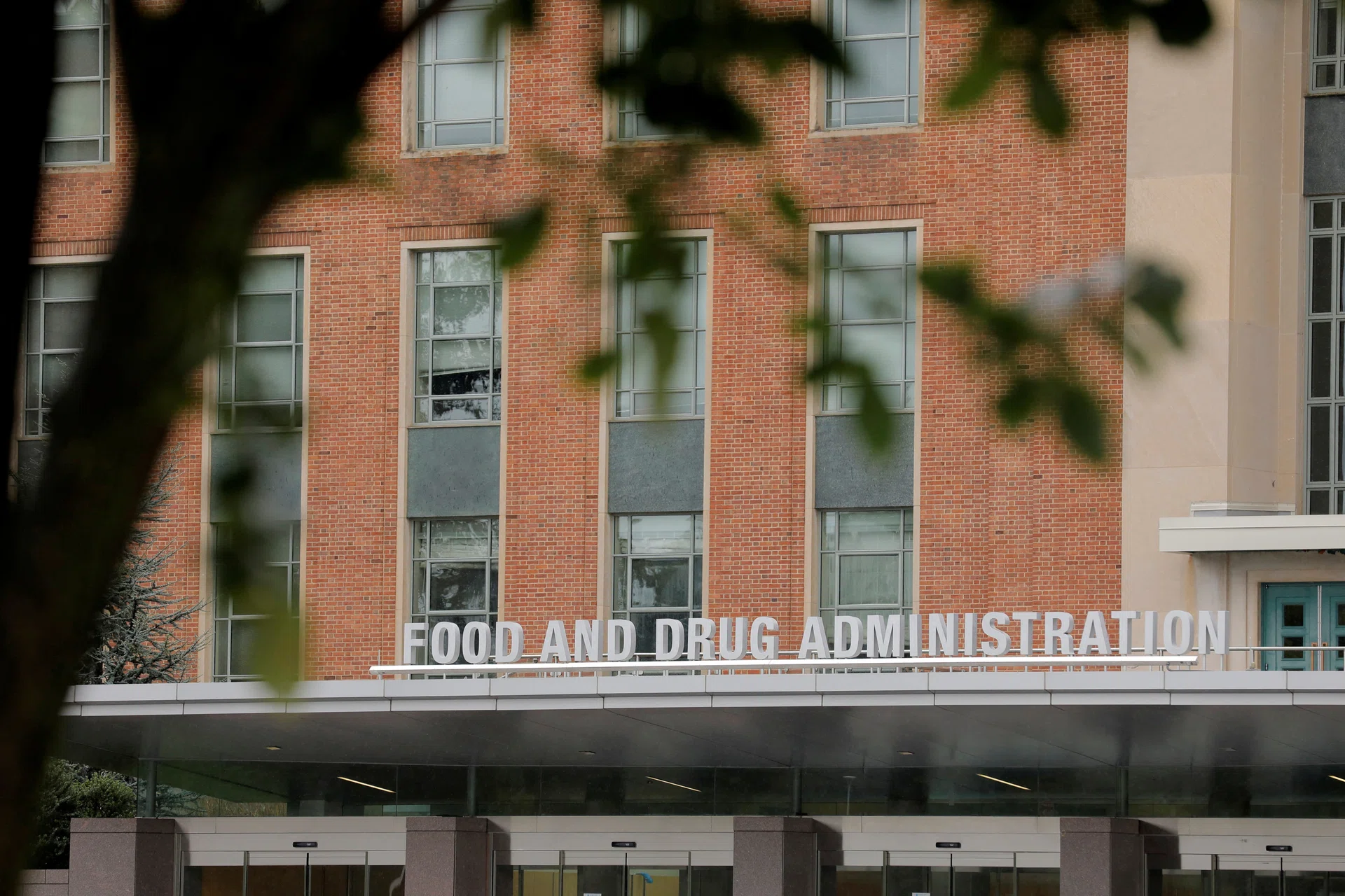 US FDA qualifies first AI tool to help speed liver disease drug ...
