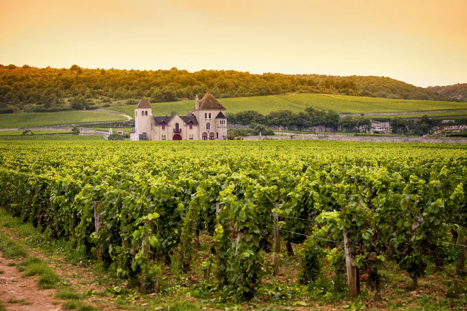 France says the wine sector is facing a very sharp drop in the harvest forecast due to climate change, a drop in wine consumption and very tough competition.