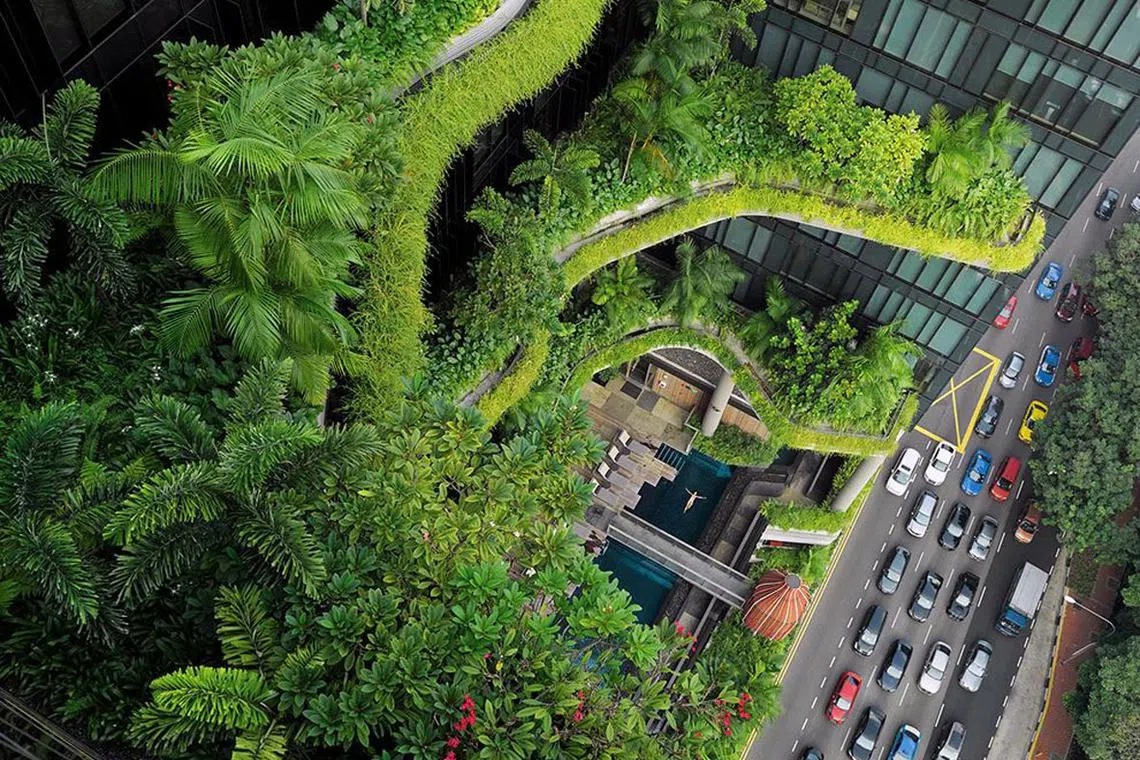 Greening harsh urban spaces in Singapore : An aerial shot of Parkroyal on Pickering hotel’s greenscape.