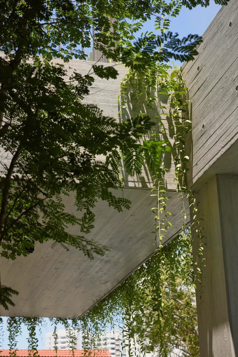 Plants from the car porch's green roof soften the architecture.