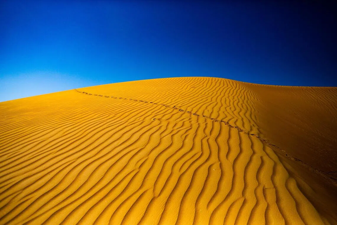 Oman’s golden deserts under impossibly blue skies.