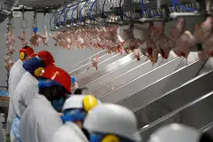 While 70 per cent of the companies provide some form of food safety management disclosure and 62 per cent acknowledge responsible sourcing as a business issue, only 16 per cent have in place a responsible sourcing policy, ARE pointed out.