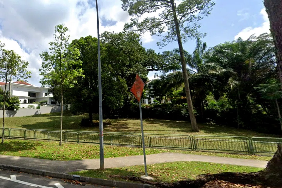 Tay paid S$47.84 million, or S$2,000 psf, in early 2012 for the plot, which he brought from businessman Peter Kwee.