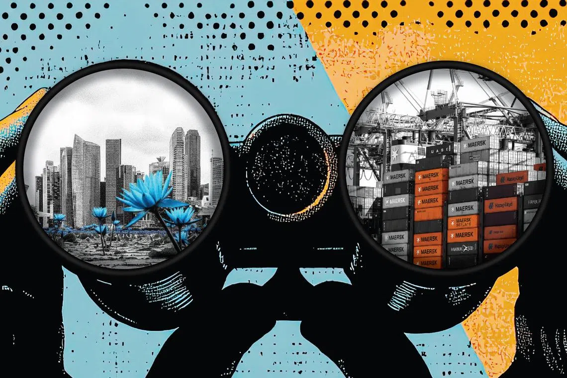 The Republic will continue to be buffeted by the unpredictabilities of the global environment.