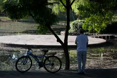 Passive income is essential in retirement. These include rentals, dividends from a portfolio or distributions from an annuity.