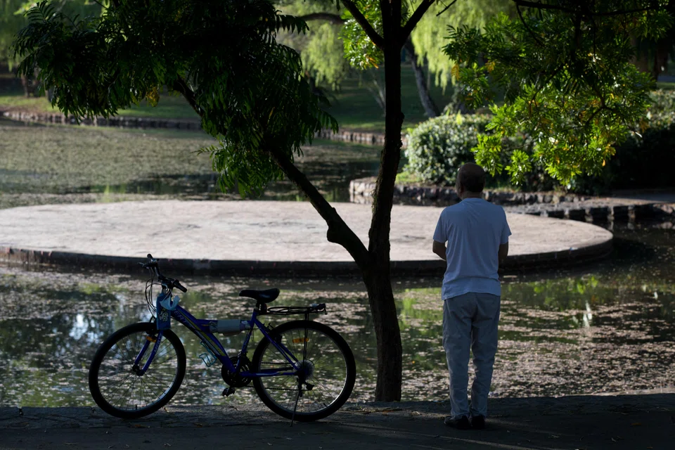 Passive income is essential in retirement. These include rentals, dividends from a portfolio or distributions from an annuity.