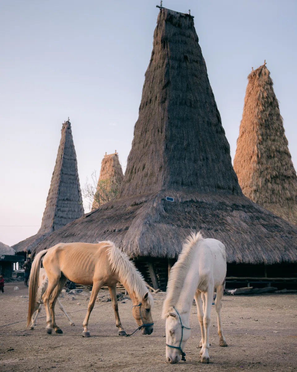 Cap Karoso is locatedon the remote Indonesian island of Sumba.