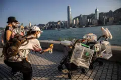 Sometime next year, as many as 500,000 free air tickets are to be distributed to encourage a more civilised stampede to the city’s undernourished malls.