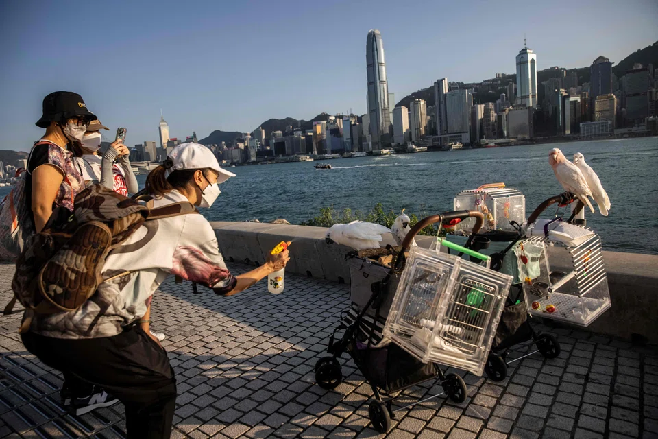 Sometime next year, as many as 500,000 free air tickets are to be distributed to encourage a more civilised stampede to the city’s undernourished malls.