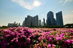 The new sustainability standards provide a structured framework for companies to assess and disclose their resilience to sustainability-related risks, allowing investors to understand the company’s long-term prospects better.