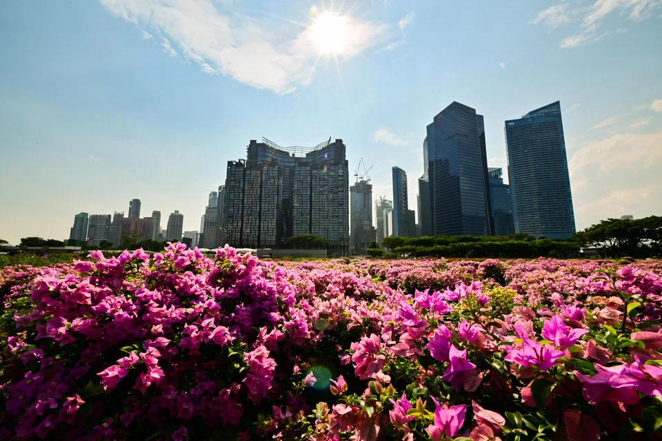 The new sustainability standards provide a structured framework for companies to assess and disclose their resilience to sustainability-related risks, allowing investors to understand the company’s long-term prospects better.