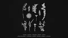 Boucheron seeks to represent nature in its fluid and realistic forms.