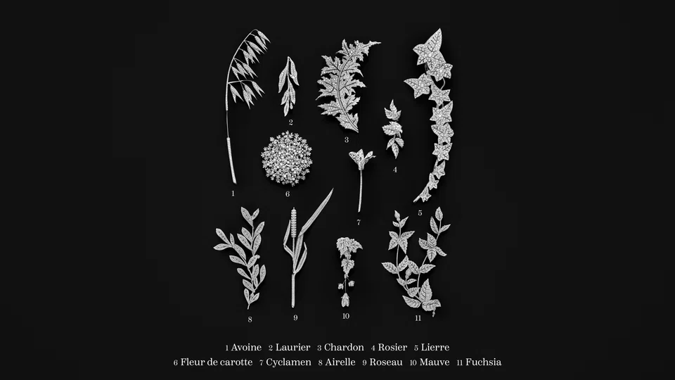 Boucheron seeks to represent nature in its fluid and realistic forms.