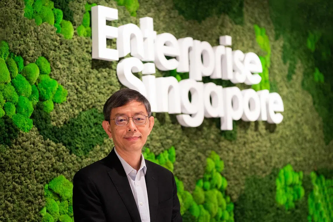 How can local startups scale up even as global markets cool down?