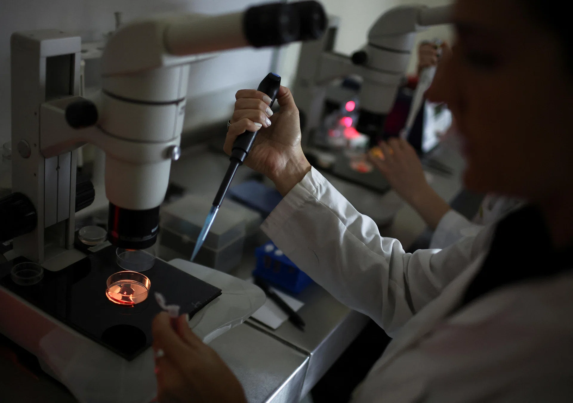 Challenging economic conditions raise the bar for nascent biotech startups as funding dries up