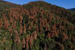 Data compiled by BloombergNEF shows that sustainability-linked loans represent the second-biggest product category of sustainable debt, after green bonds.