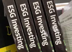 There is evidence of a positive relationship between a company’s greenhouse emissions and the perceived risk associated with that company.