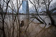 The European Central Bank across the Main River, Frankfurt. History suggests that central banks ought to be seen as geopolitical assets, says academic Will Bateman.