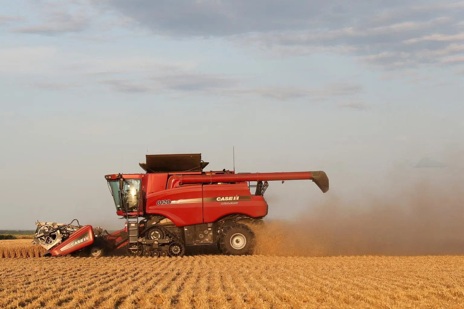 Canadian wheat crop looks biggest in seven years, canola harvest smaller