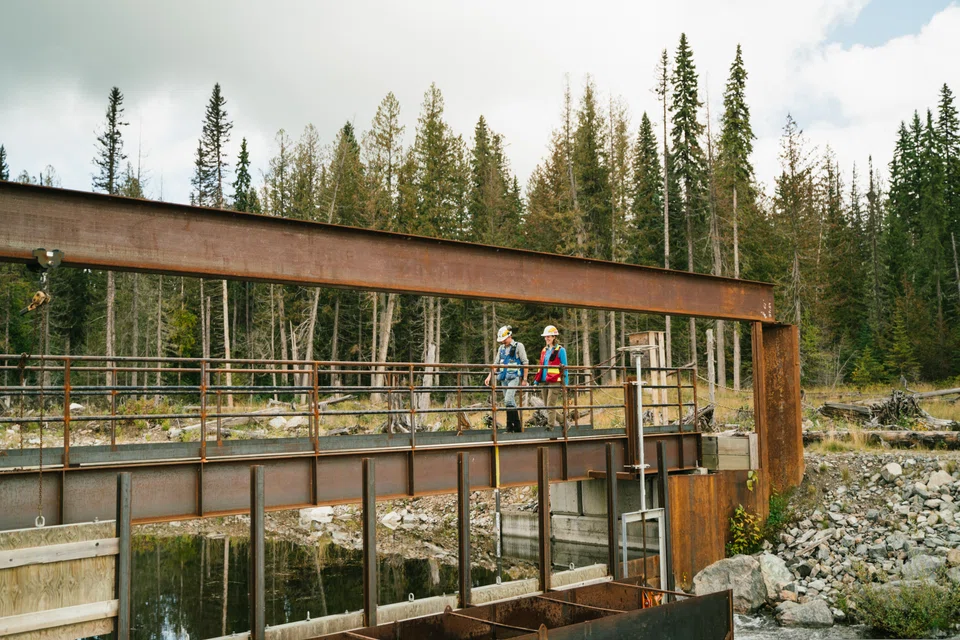 Most fund managers, however their funds are labelled, don't consider E and S to be a top performance driver. 