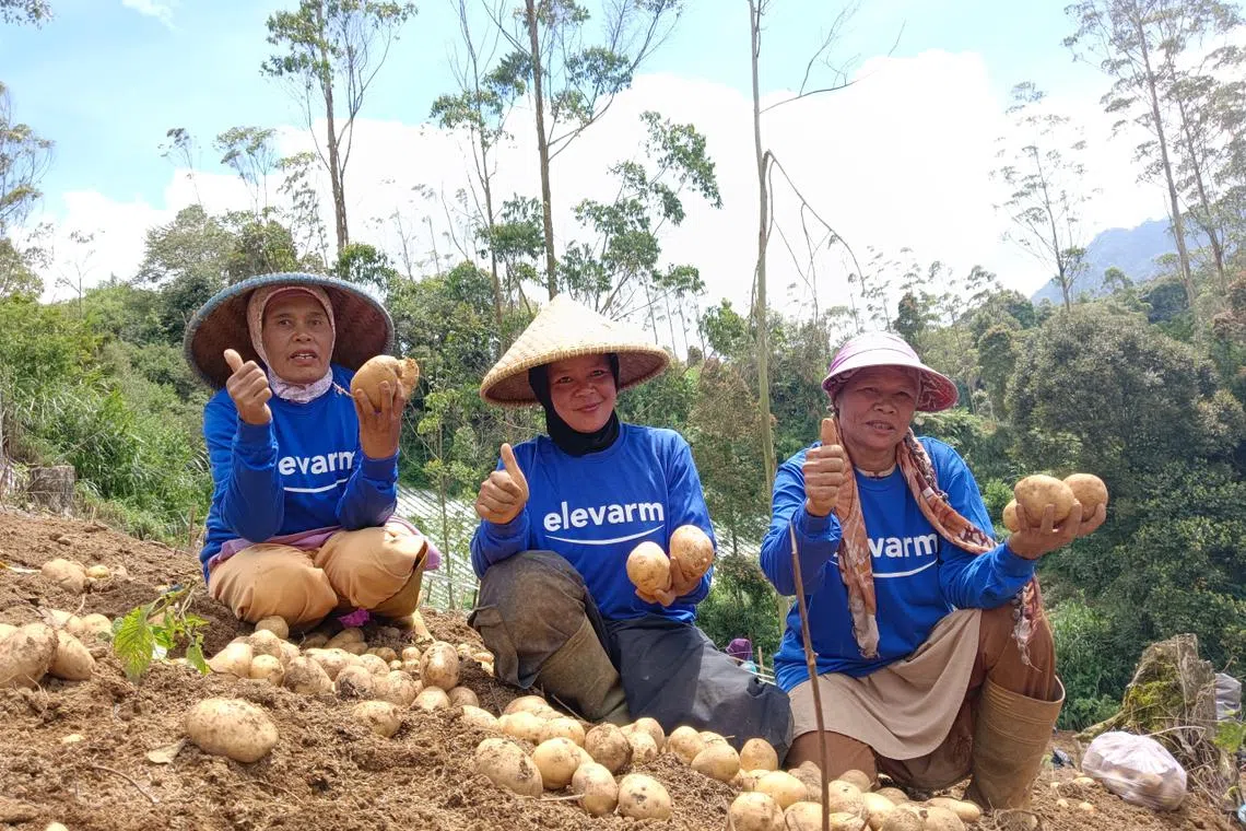 Founded in 2022, Elevarm offers a platform of interconnected horticultural services and products.