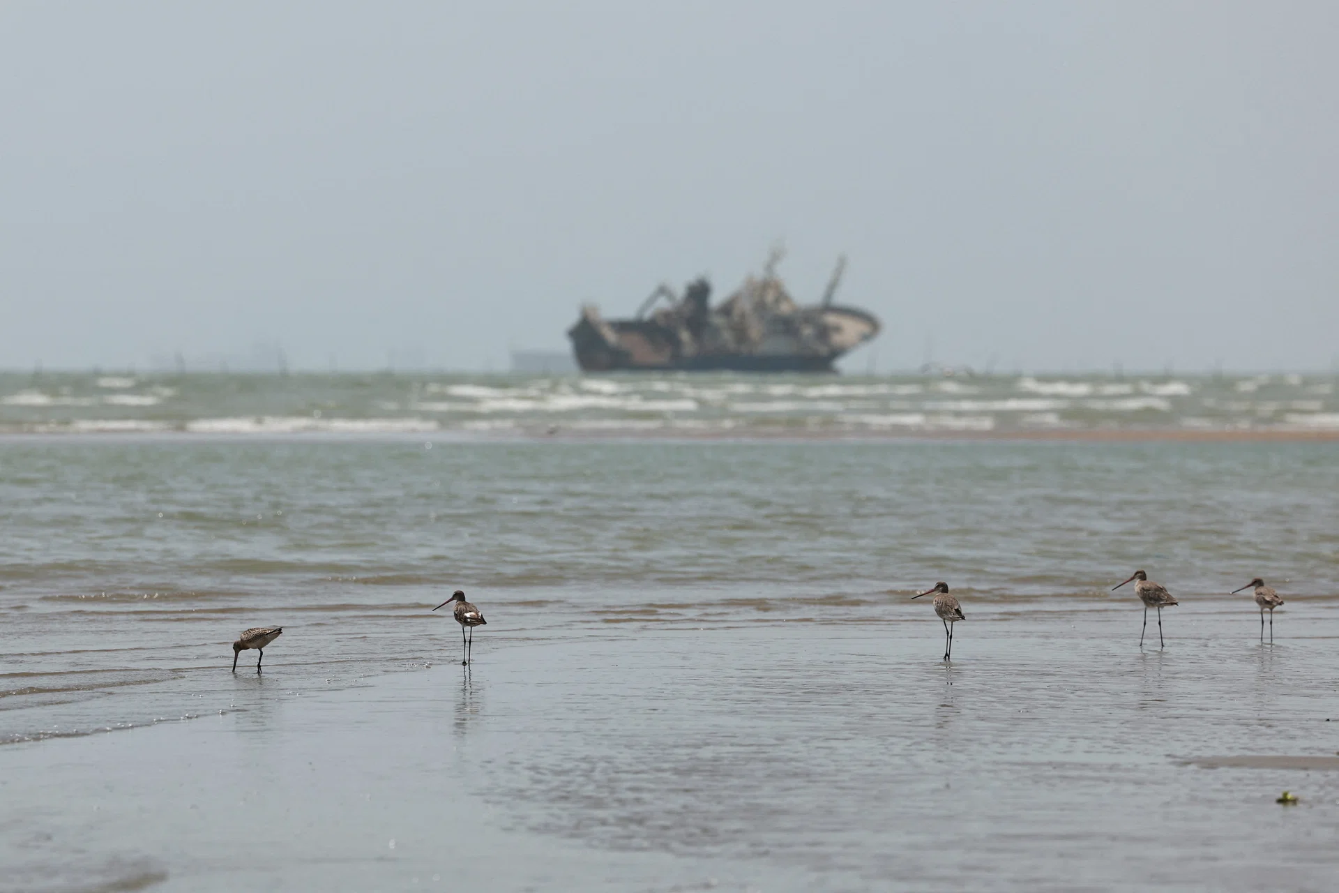 Oil prices fall 2.6% on Iran-Oman talks to reopen Strait of Hormuz