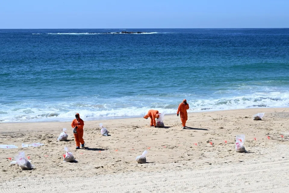 Around 2,000 of the mystery black balls, some golf ball-sized, had washed onto beaches across Sydney since Tuesday.