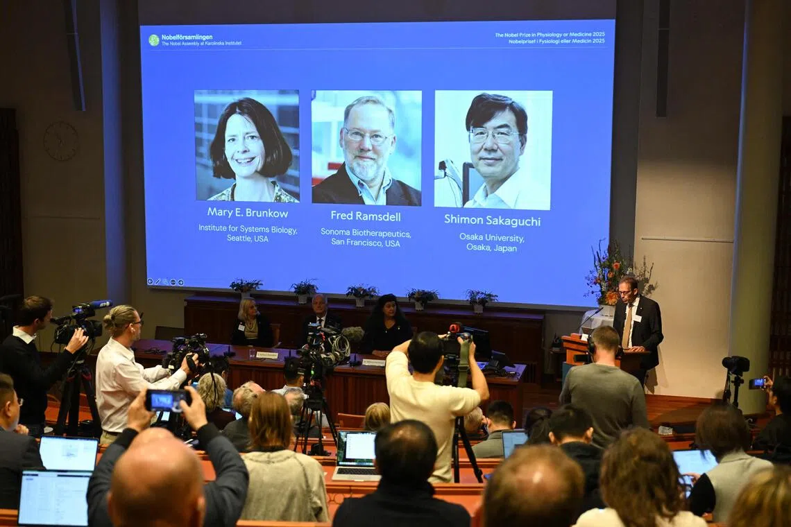 The winners of the 2025 Nobel Prize in Physiology or Medicine, (from left) Mary E Brunkow, Fred Ramsdell and Shimon Sakaguchi, are being announced at the Karolinska Institute in Stockholm on Oct 6.