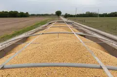 The drop in Chinese demand cost US farmers - a key pillar of US President Donald Trump’s political base - billions of dollars in lost sales and the deal would represent a return to normalcy in trade with the top US soy importer.