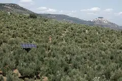 Solutions that address biodiversity or climate change in silo may not be seeing the wood for the trees.