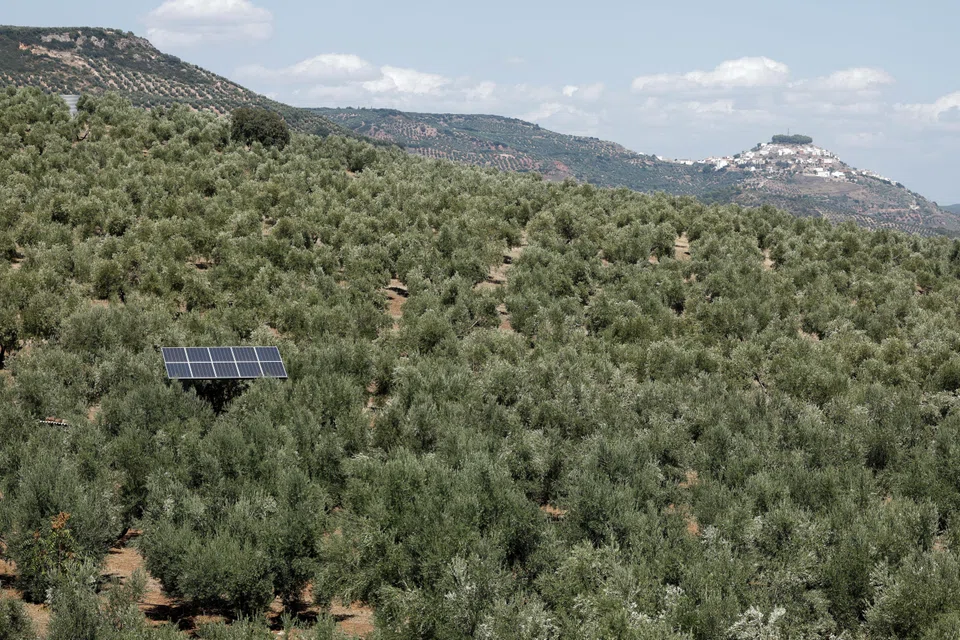 Solutions that address biodiversity or climate change in silo may not be seeing the wood for the trees.