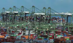 Electronics exports jump 56.1% on the year, more than double December's 24.9% increase.