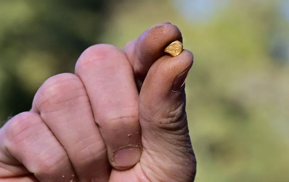 Cody Blanchard showing a gold nugget he found in the area from using his metal detector in El Dorado County.