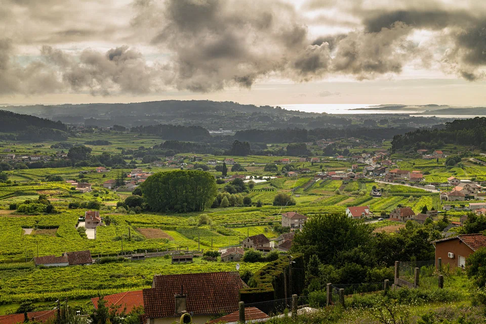 A sweeping view of Meano, Spain, in the country’s Rias Baixas region on its Atlantic coast, where albarino is king.