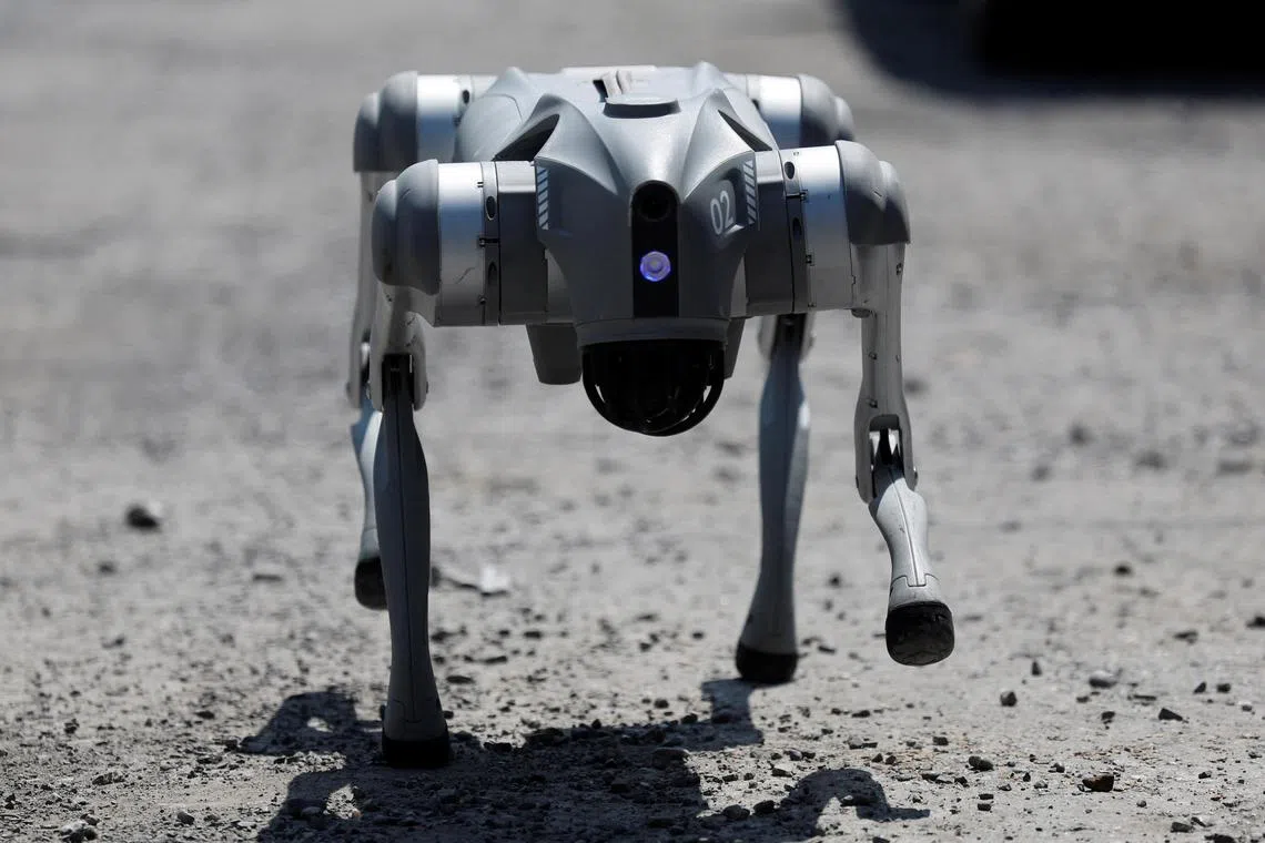 With a metallic, friendly voice, Waldog is about the size of a beagle and initiates conversations with children and adults about animal rights.