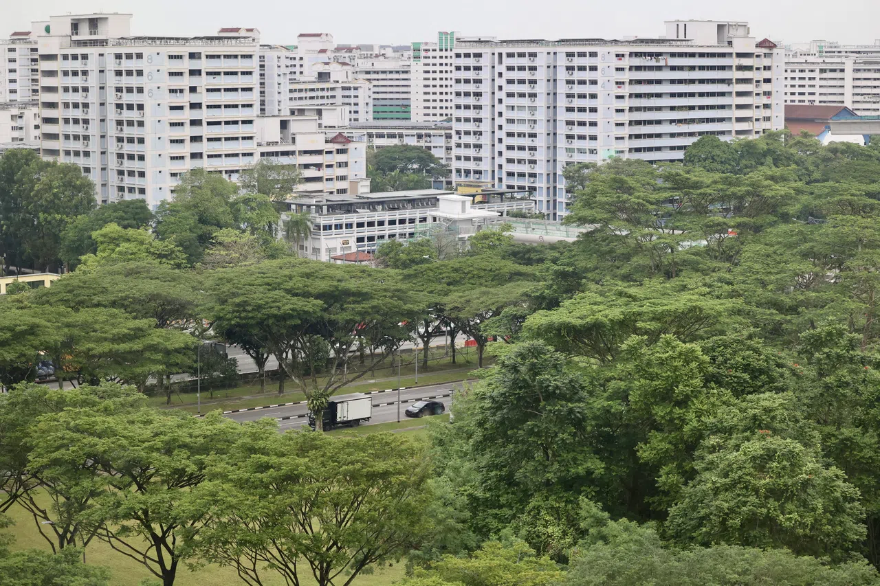 CMG20240807-ChanBK02/陈 斌 勤 /Archive - HDB flats among greenery. 

Tags - finance budget economy HDB flats construction greenery forest MRT environment.