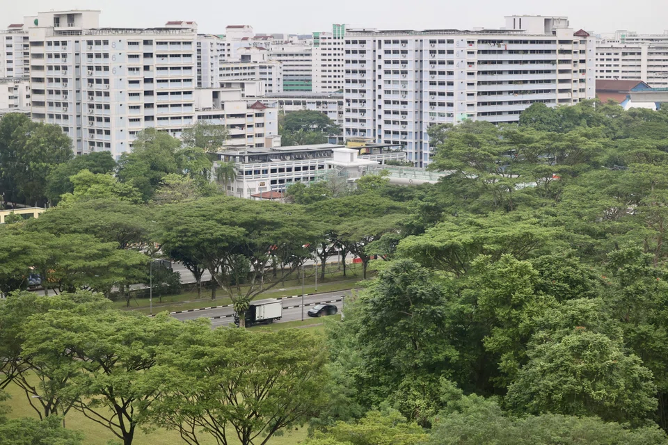 The report says that green fund flows into Singapore in 2024 accounted for 33% of the total investments, jumping 194% on year to US$2.7 billion. 