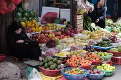 Vietnam is the US’s 9th largest export market for agricultural products such as meat, fruit, corn and dairy products.